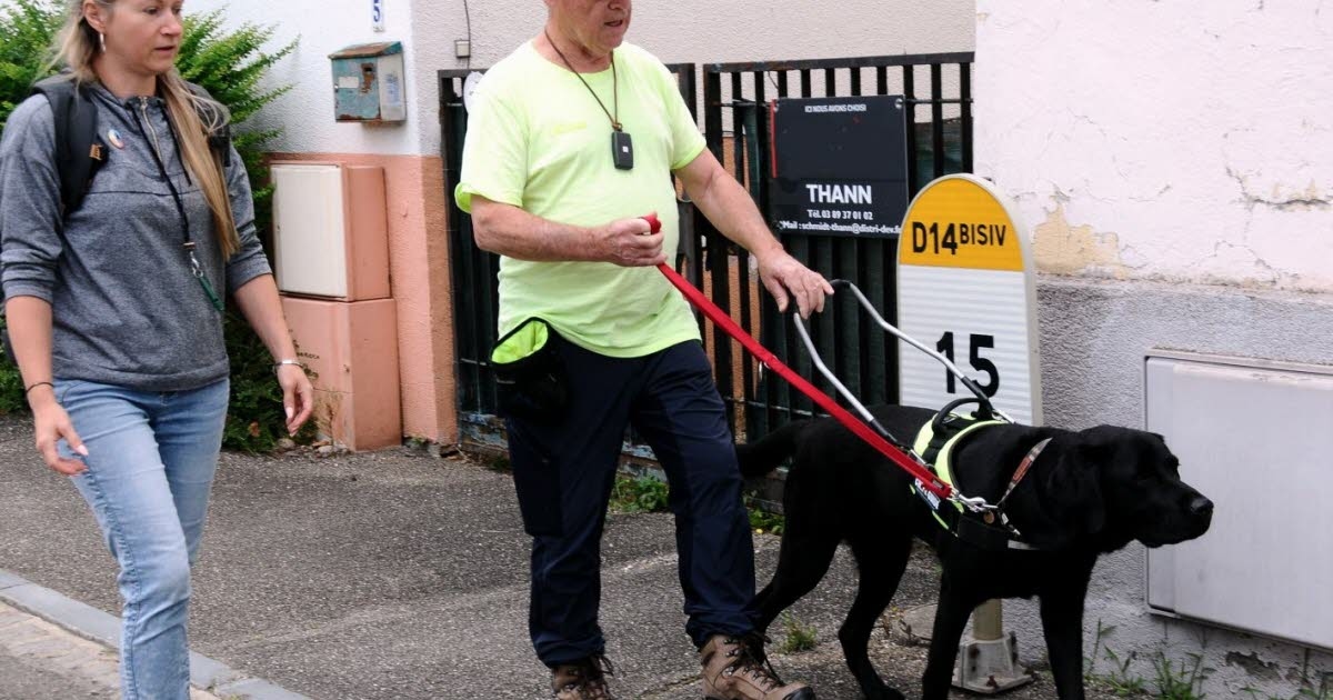 Cernay. Cannelle, Lima, Urus: drie honden om Gilbert te begeleiden