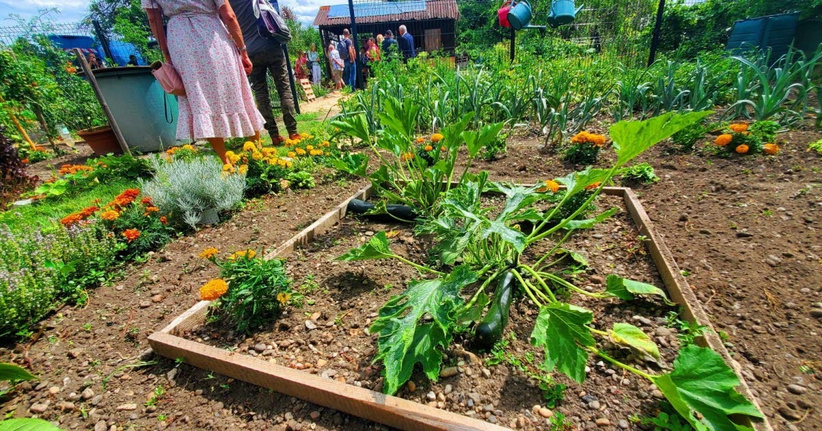 Colmar: Um jardim compartilhado para mulheres em remissão do câncer