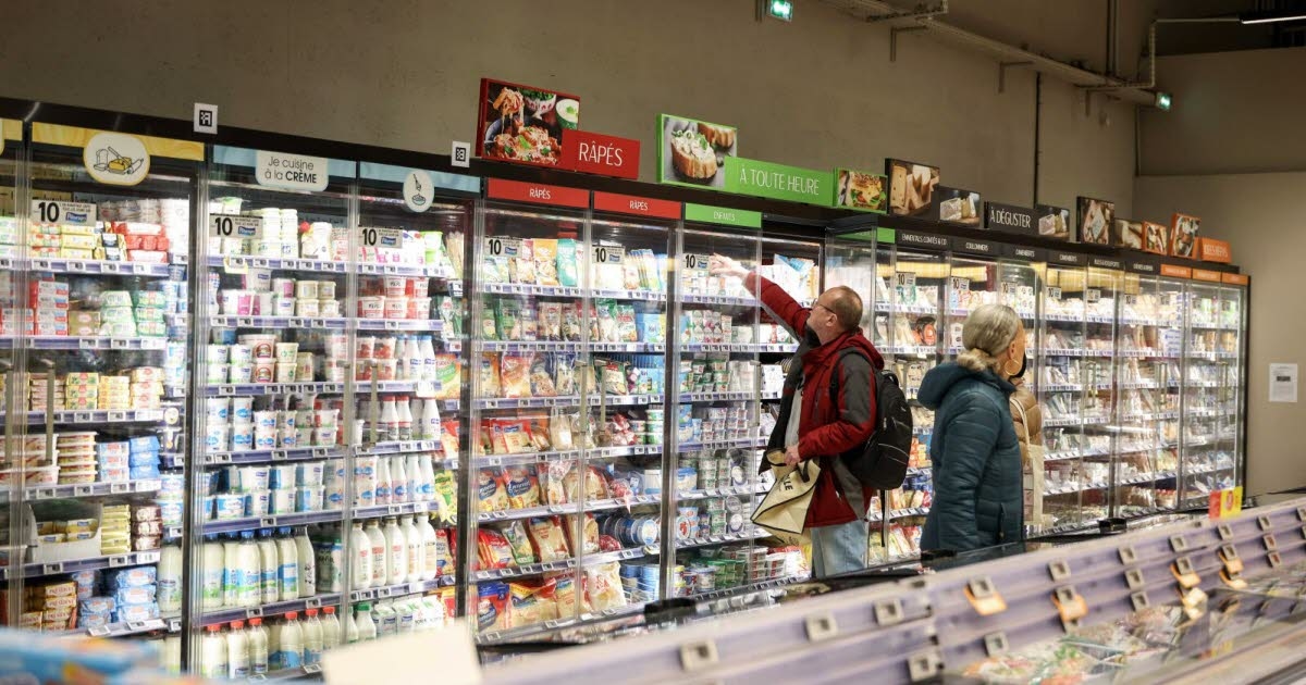 Consumo. Camembert, quesos de cabra, brie: más de 40 quesos retirados del mercado por sospecha de listeria.