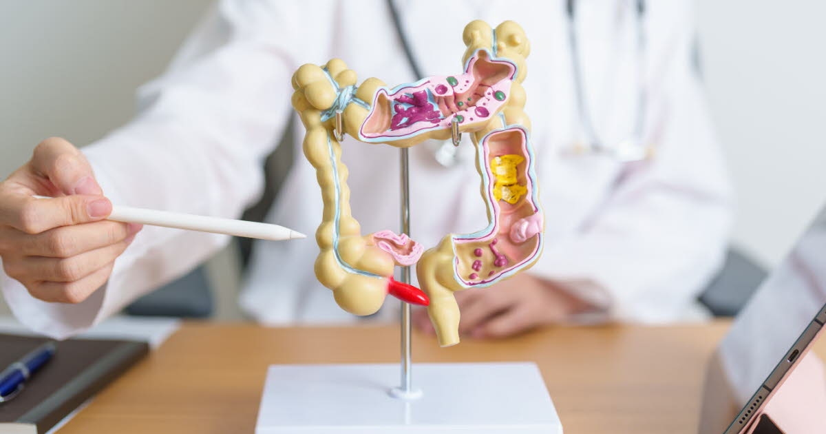 Health. Intestine: Why is it called the “second brain”?