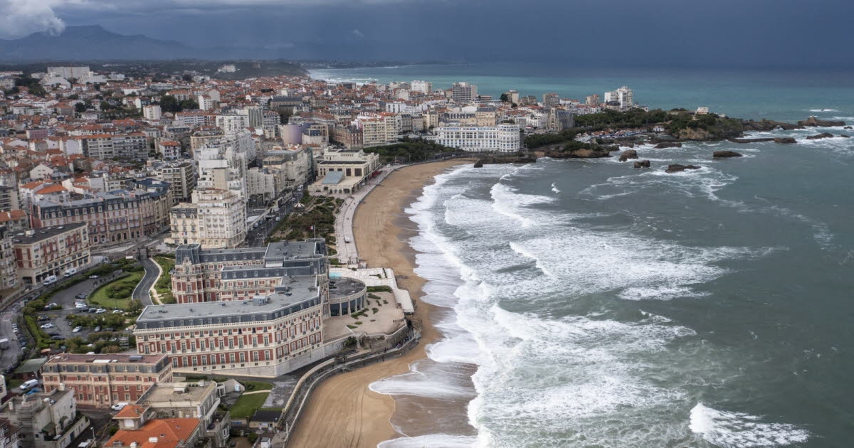 Pyrénées-Atlantiques: Toxic algae proliferates on a beach, several swimmers report symptoms
