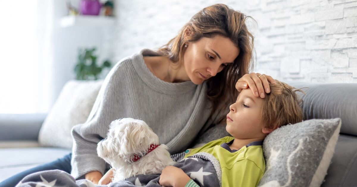 'Highly contagious' winter virus alert issued across England