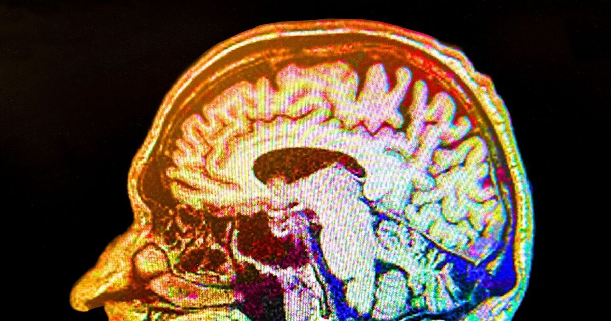 Der Verzicht auf ein Getränk kann das Alzheimer- und Demenzrisiko senken