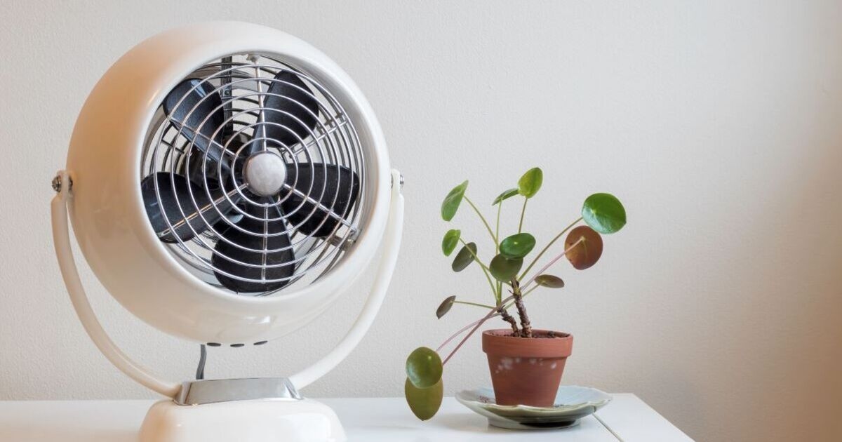 Un expert révèle la raison pour laquelle vous ne devriez pas laisser un ventilateur allumé toute la nuit