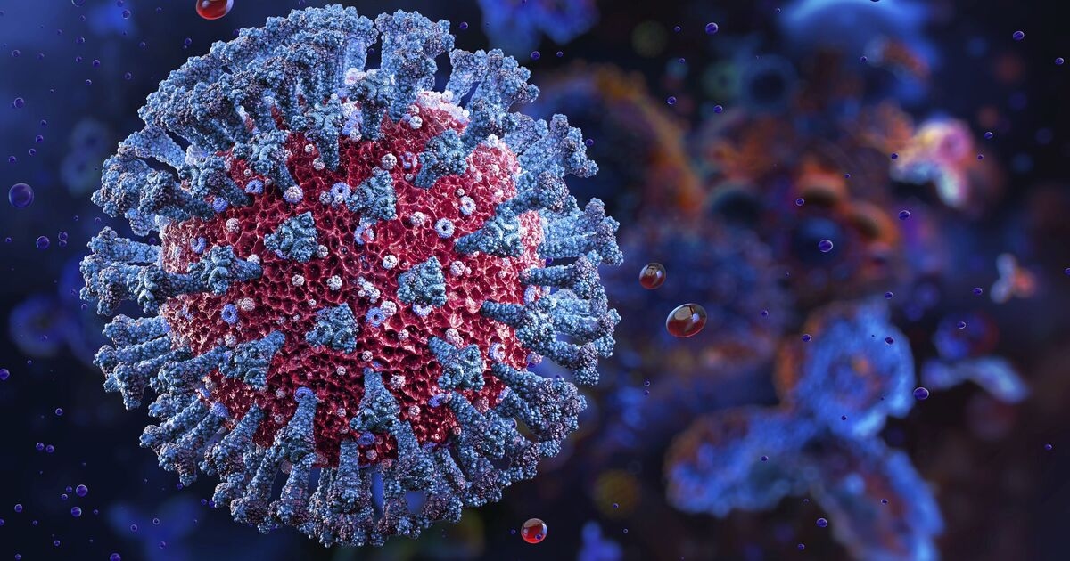 Covid Nimbus variant 'leads to hospitalisations increase' as NB.1.8.1 strain hits UK