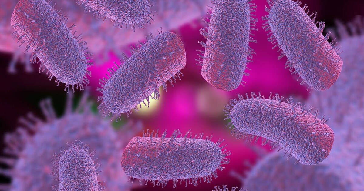 What is rabies and how is it spread? Facts and travel warnings after fatal UK case