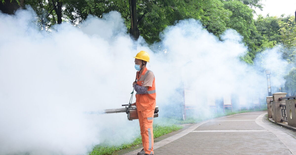 Avertissement urgent concernant la vaccination pour les voyageurs chinois alors que l'épidémie de virus chikungunya se poursuit
