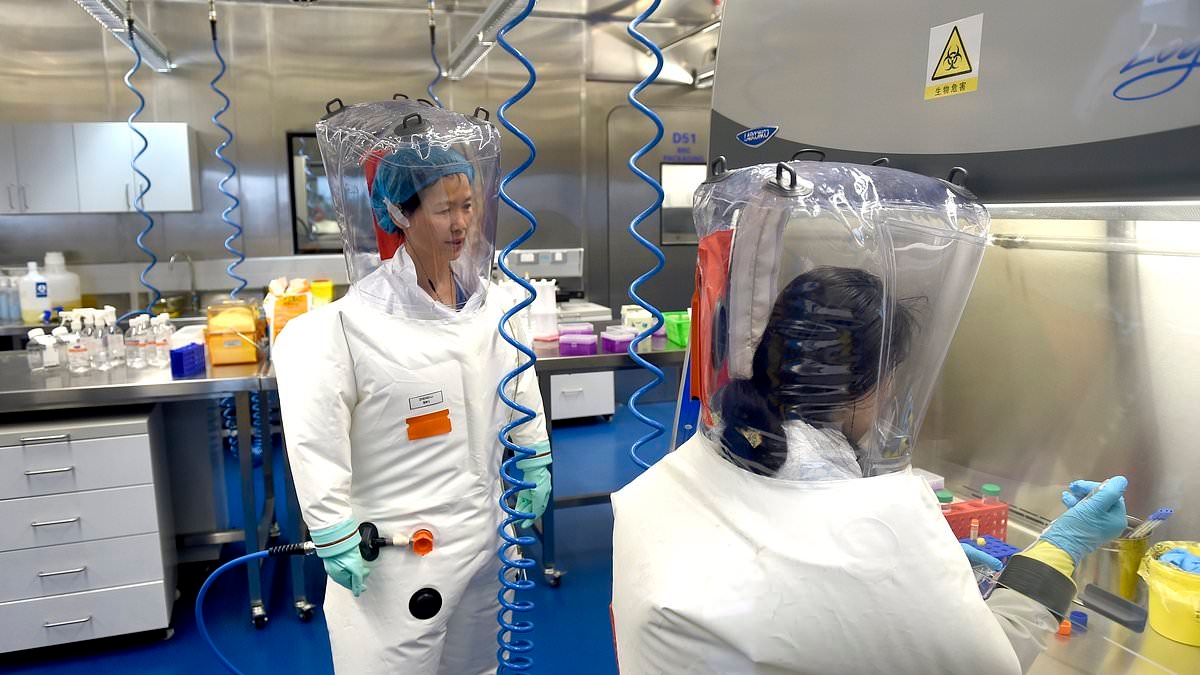 China hace una sorprendente afirmación sobre el origen del Covid tras el escándalo de las filtraciones de laboratorio