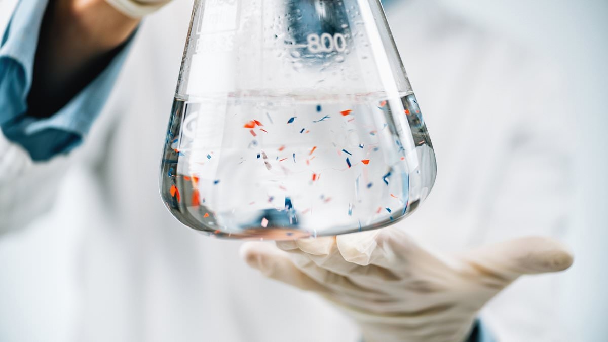 La guida dell'esperto su cosa fanno le microplastiche al tuo corpo e 22 modi per ridurre al minimo i rischi
