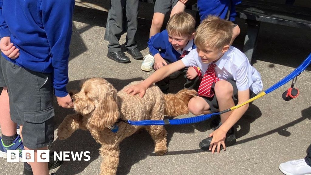 Rugby club hosts mental health day for pupils