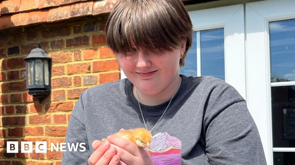 Helping on the farm reaps mental health benefits
