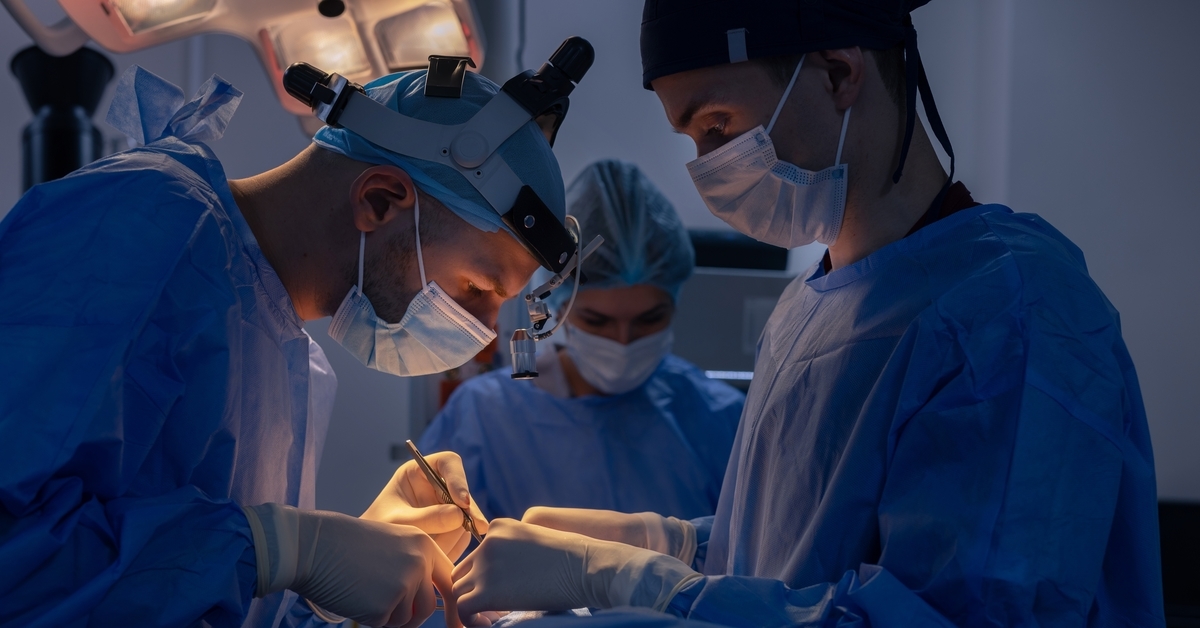 Nouvel espoir pour la transplantation d'organes à partir de porcs