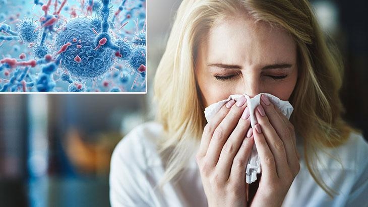 Epidemics are on the rise! The key to protection lies in our microbiota: 3 conscious steps before winter arrives