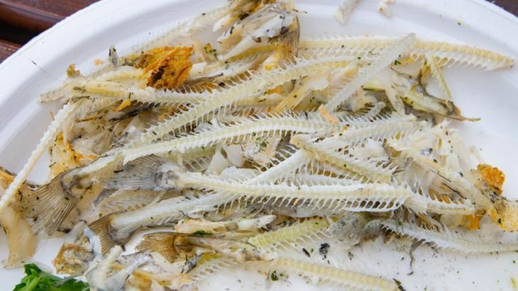 Hoe wordt visgraat omgezet in hoogwaardig collageen?