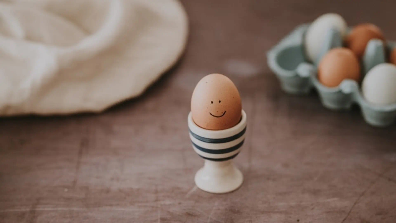 Debunking misconceptions about eggs: Is it healthy to eat one every day?