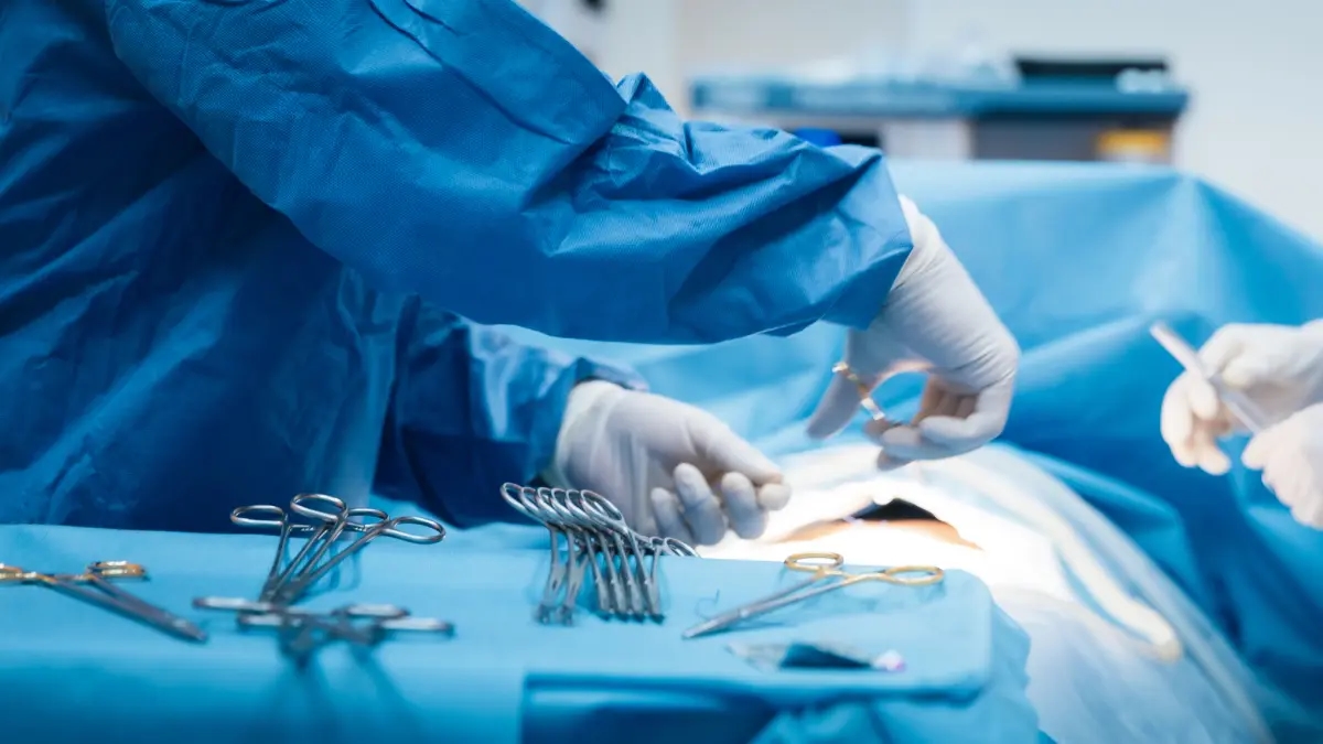 Ontvangers van een orgaan hoeven niet langer hun hele leven medicijnen te slikken om te voorkomen dat hun lichaam het ontvangen orgaan afstoot.