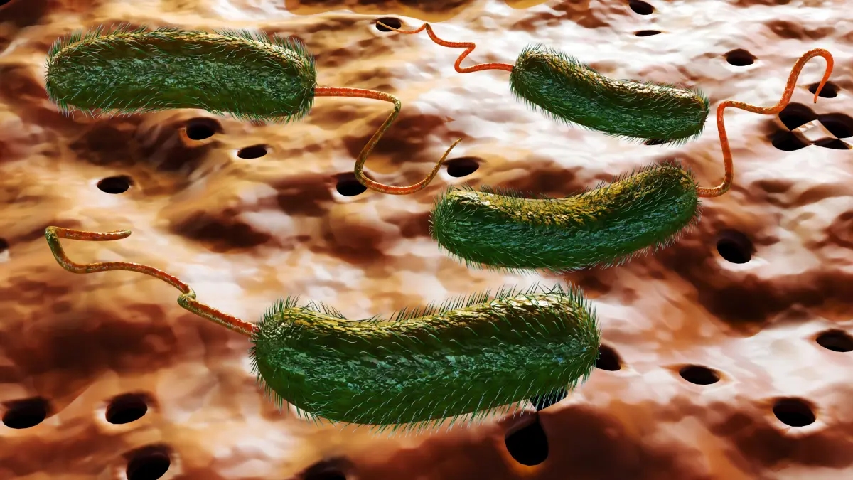 Waarom wordt de bacterie die in de Verenigde Staten sterfgevallen heeft veroorzaakt, 'vleesetende bacterie' genoemd? Dit is wat u moet weten over de infectie en de alarmerende symptomen ervan.