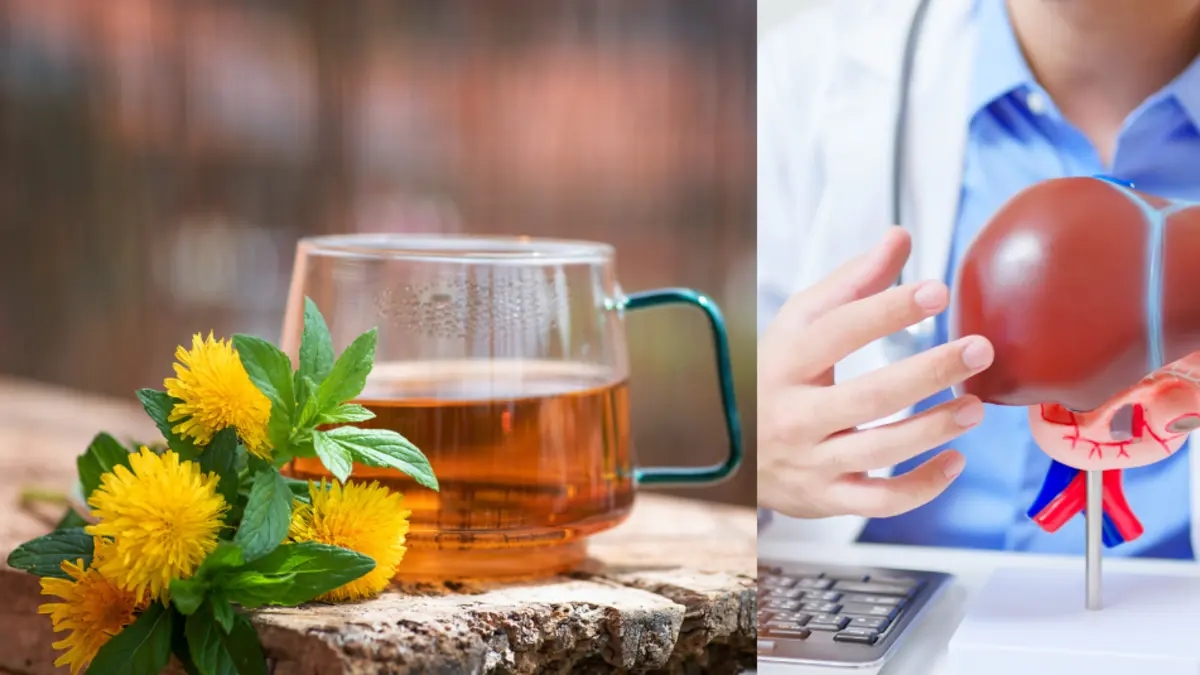 The effective herb that helps prevent liver cirrhosis, heal fatty liver, and reduce inflammation