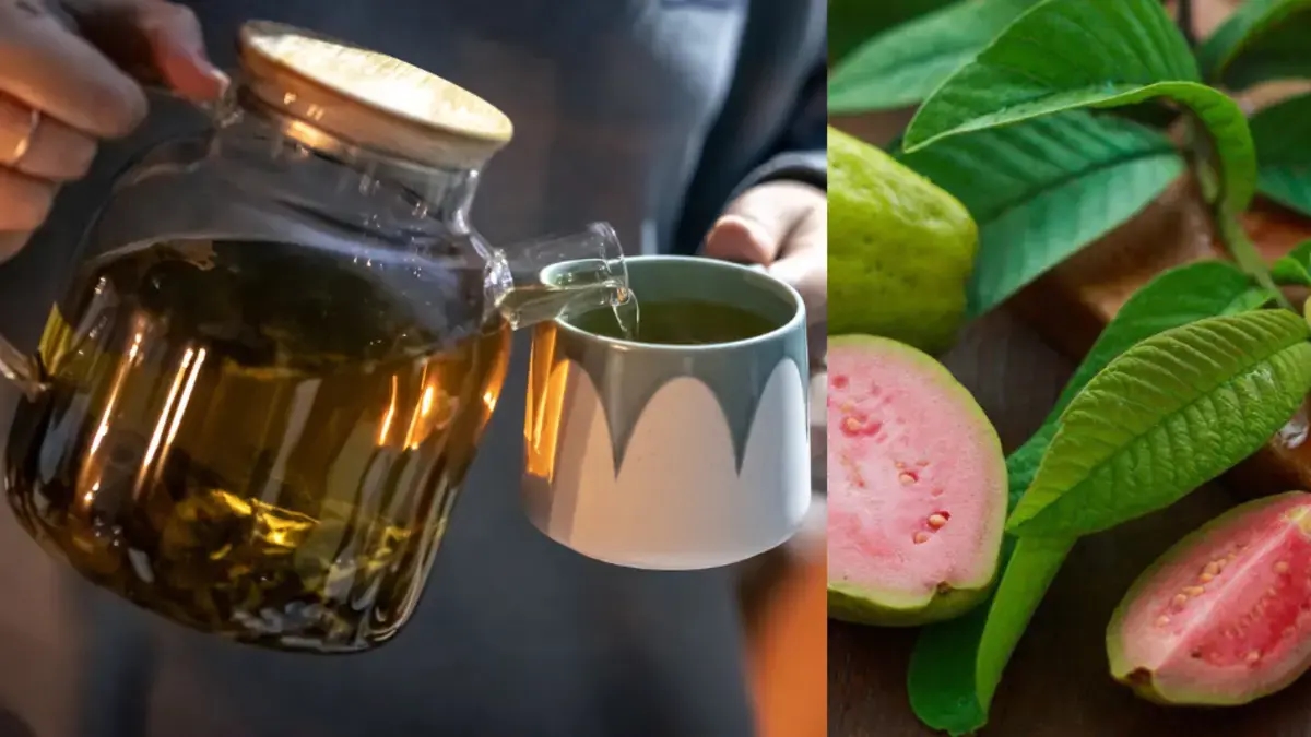 Guava yaprağı çayının iyileştirici özellikleri: Bilimsel verilere göre nasıl hazırlanır ve neye iyi gelir?