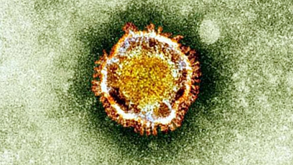 BFMTV INFO. Covid-19: A worrying new variant identified for the first time in France