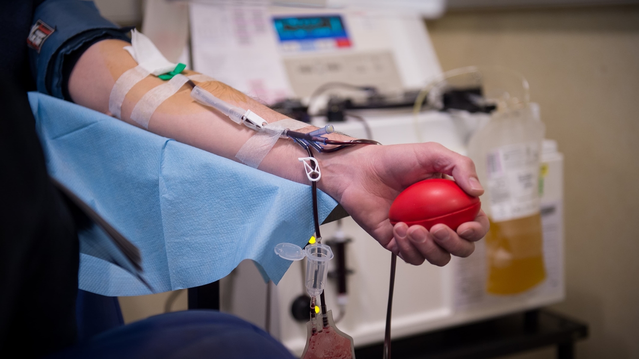 "Necesitamos 10.000 más": Donaciones de sangre insuficientes a principios de verano, la EFS lanza un llamamiento