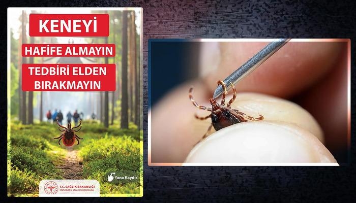 CCHF powraca... Ukąszenia kleszczy mogą wywołać chorobę! Zachowaj ostrożność, aby uniknąć ryzyka infekcji! Eksperci ostrzegają...