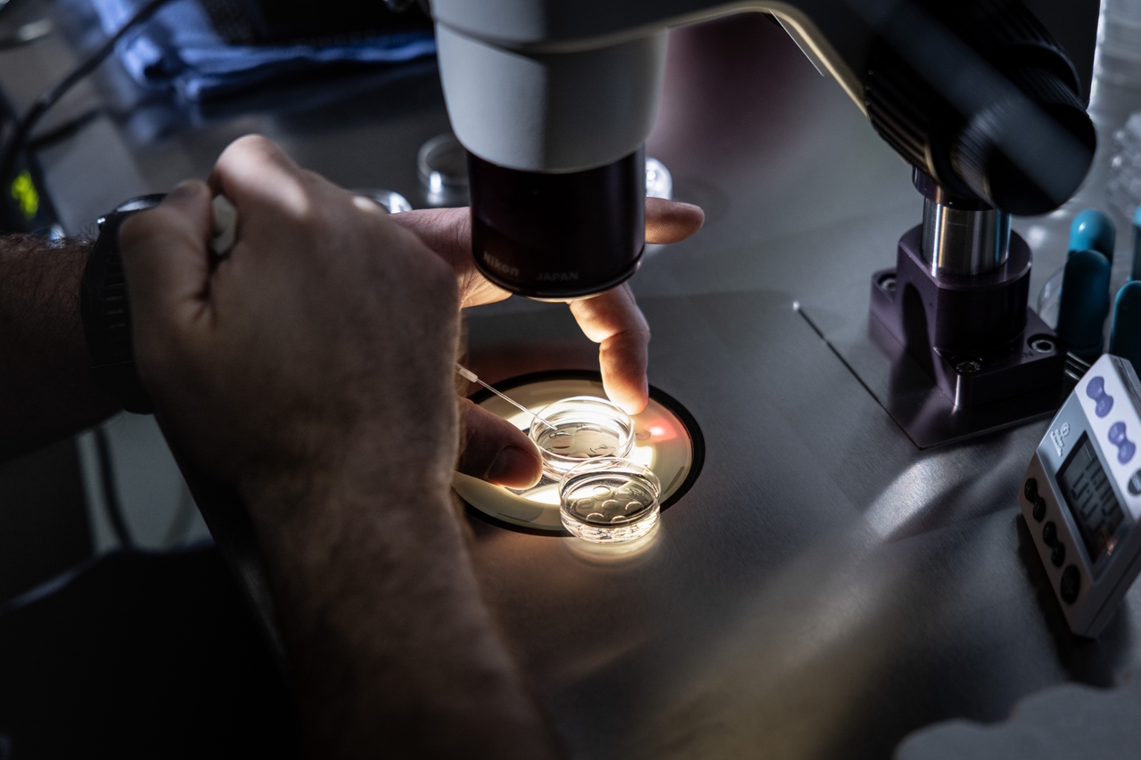 Wstrząsające prawo Kalifornii dotyczące zapłodnienia in vitro może zostać opóźnione do 2026 r., pozostawiając wielu w potrzebie