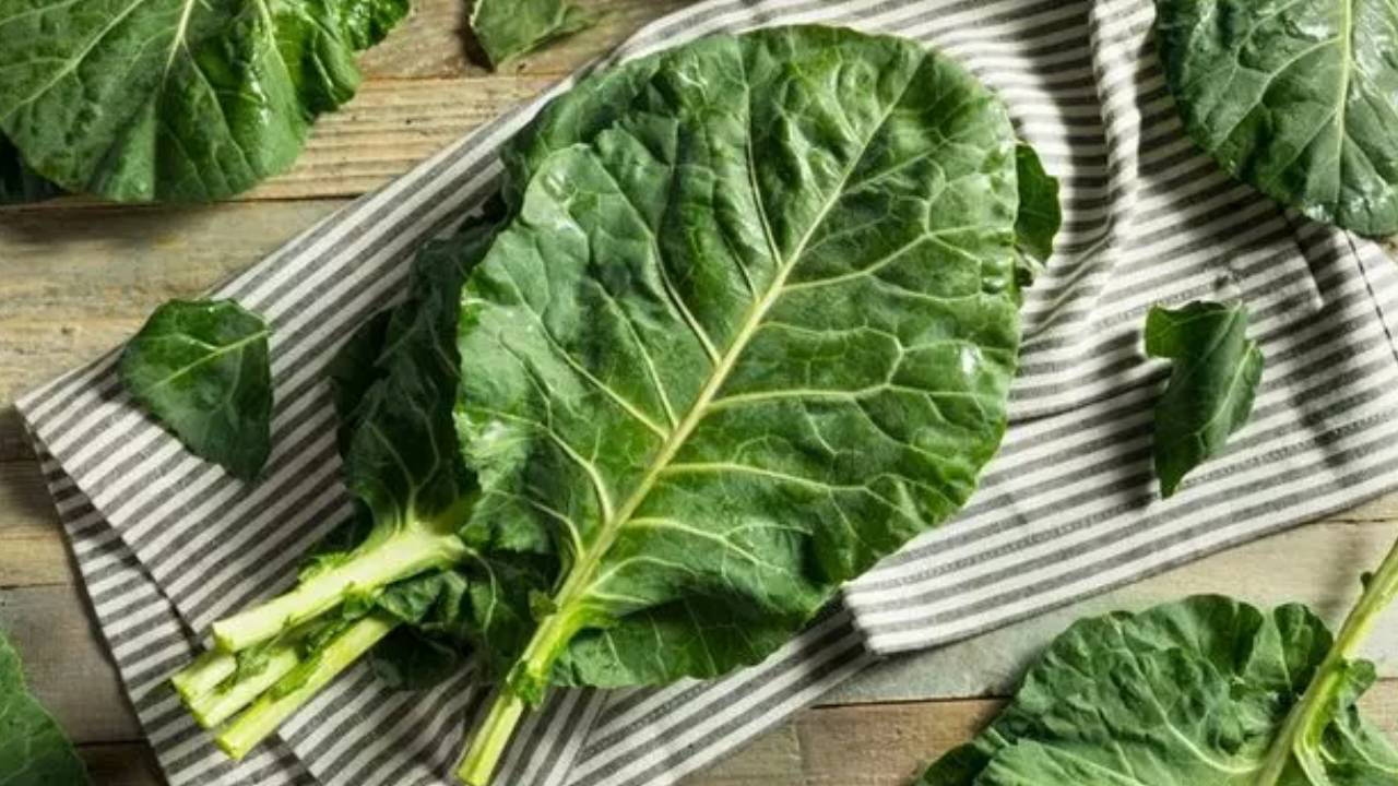 Les filles de la mer Noire guérissent le cancer grâce au chou frisé