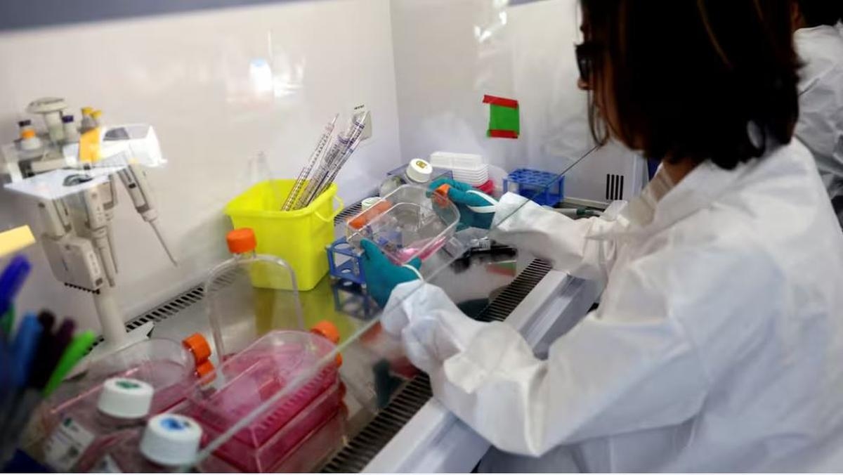 Cancer: New hope for fighting the most refractory malignant cells