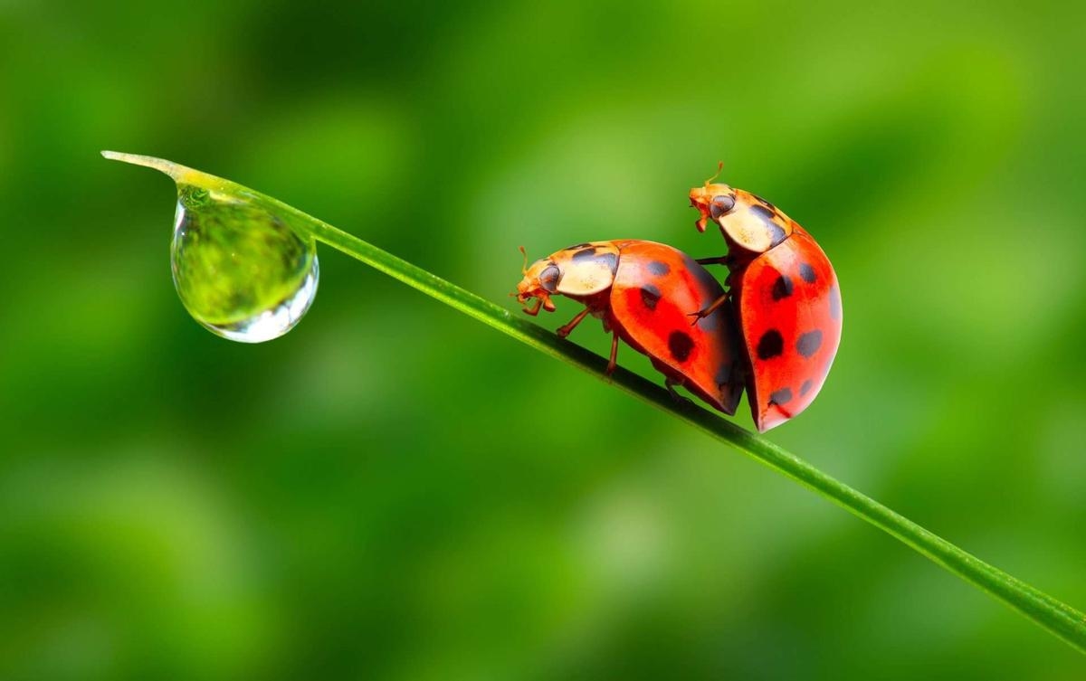 Fazer amor ao ar livre: aqui está o que você precisa saber antes de começar