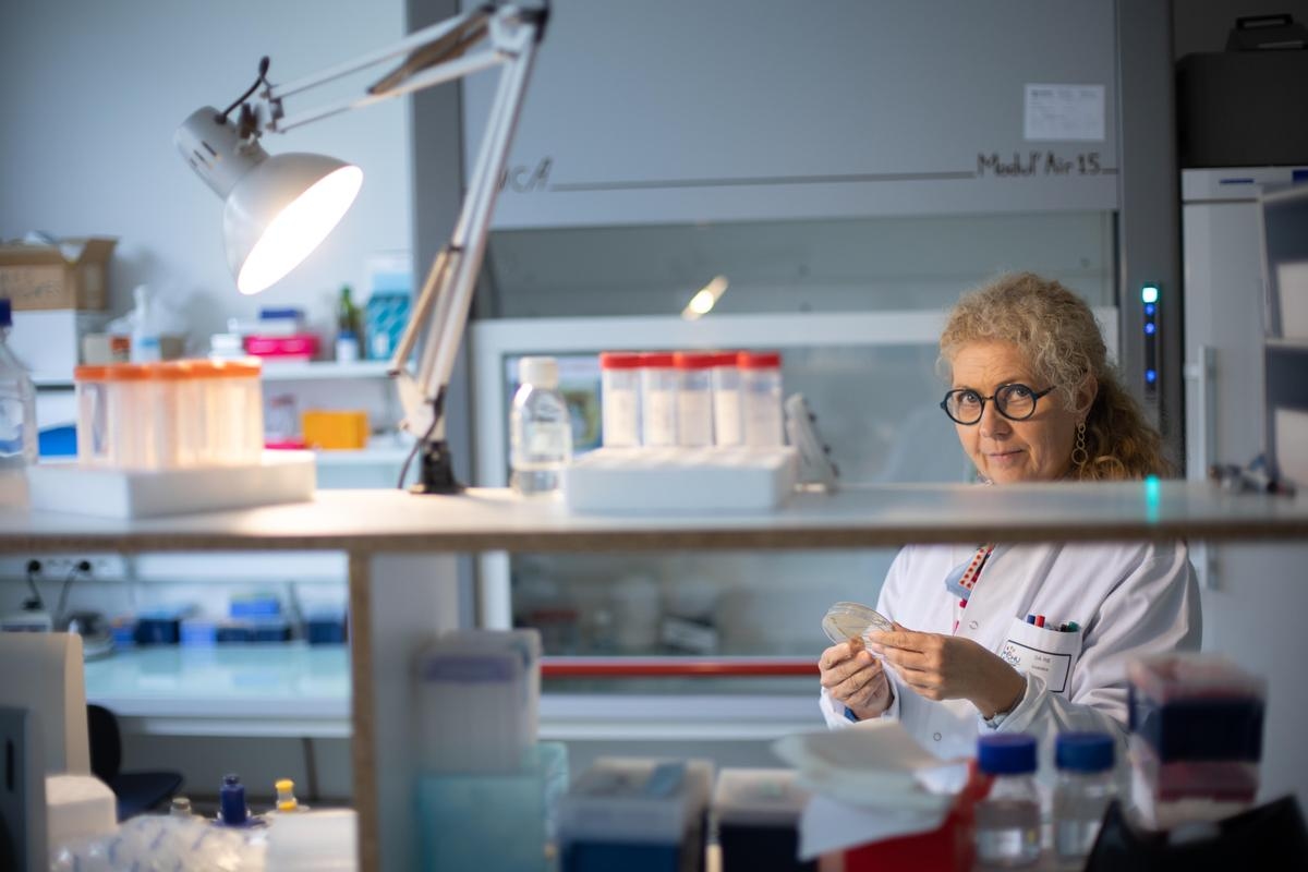 Antibiotic resistance, the “silent pandemic”
