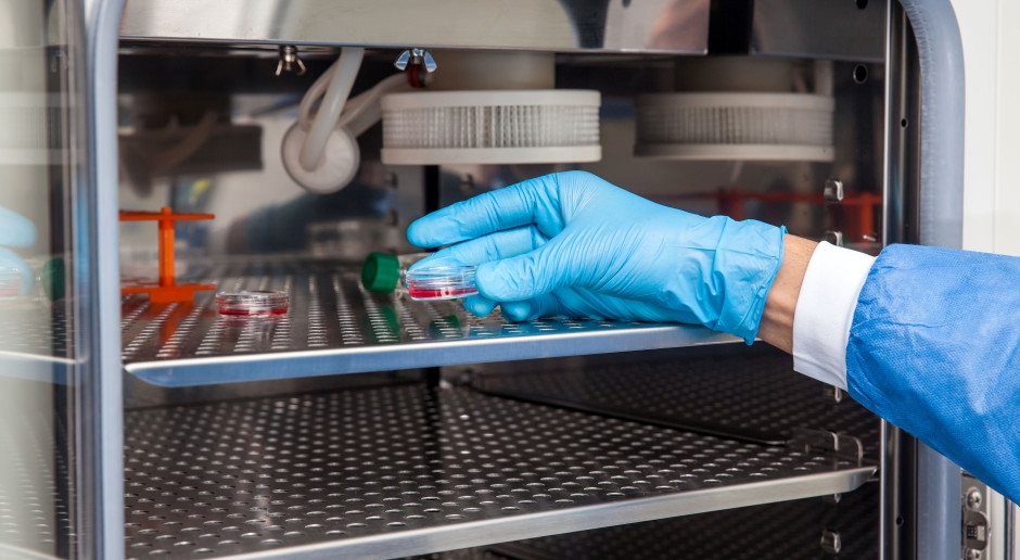 Um ano de programa de fertilização in vitro. Temos dados completos do Ministério da Saúde. 14 mil gestações