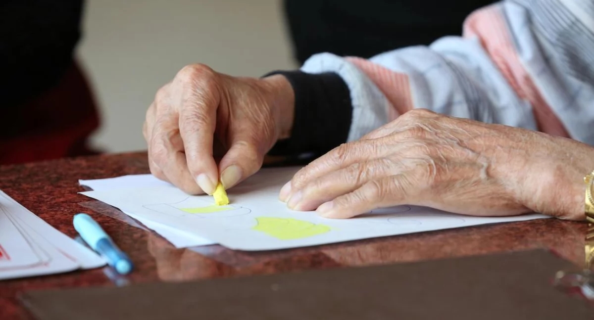 Bakterie jelitowe są związane z ryzykiem stwardnienia rozsianego – przełomowe badanie