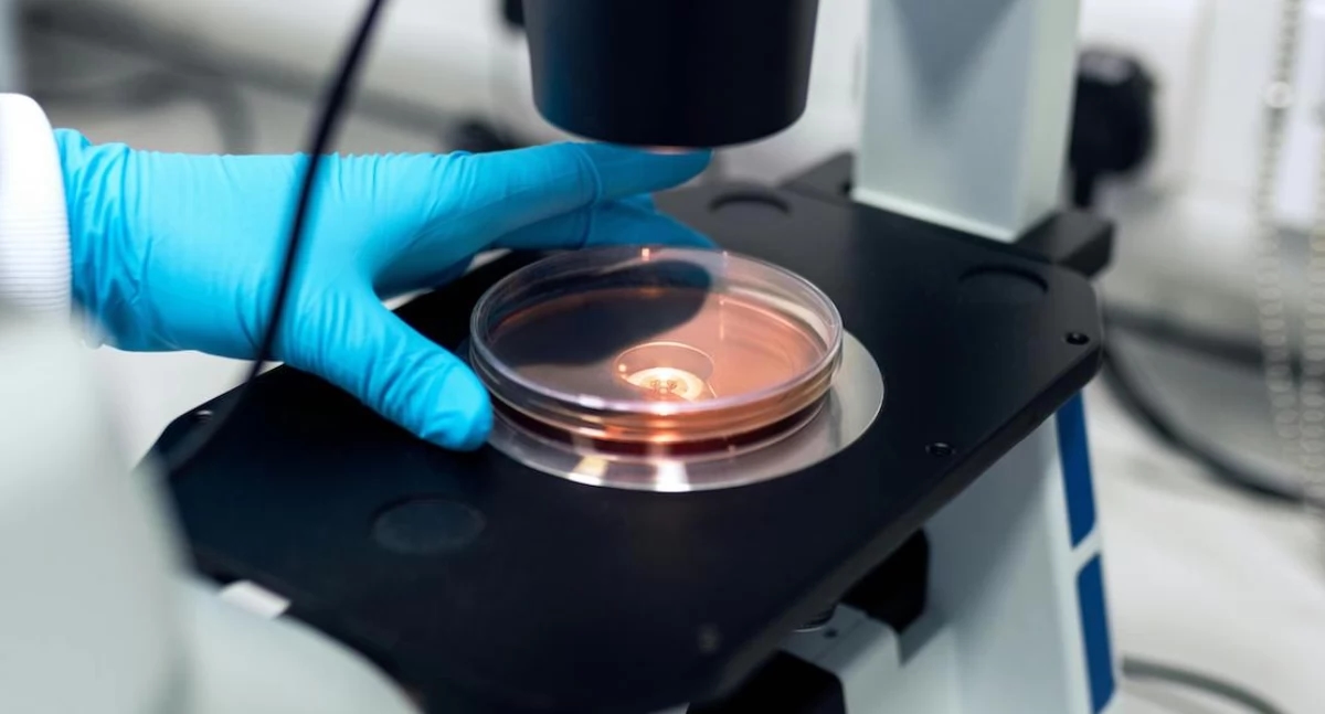 Kunstmatige intelligentie ten dienste van de oncologie: Fragle detecteert kanker voordat scans het aantonen