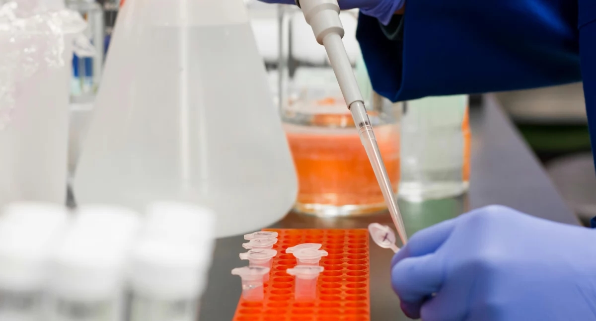 UK Biobank réalise la plus grande étude d'imagerie corporelle : 100 000 volontaires scannés