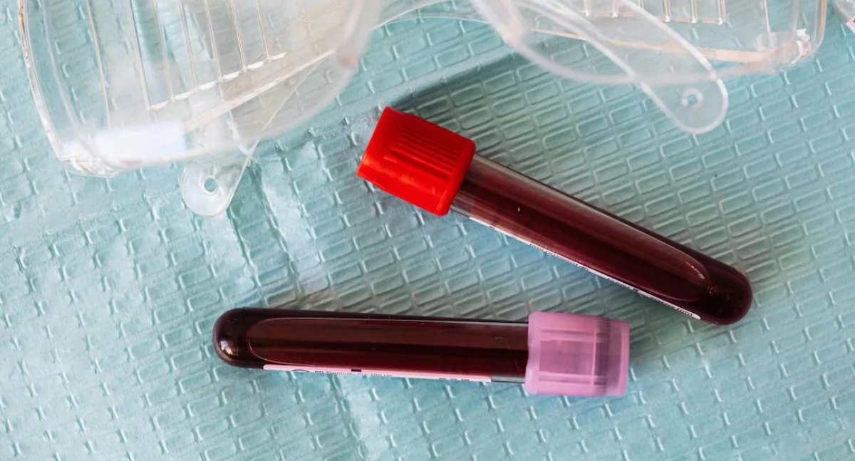 O câncer de sangue pode ser previsto precocemente? Estudo revela como mutações hereditárias e adquiridas interagem.