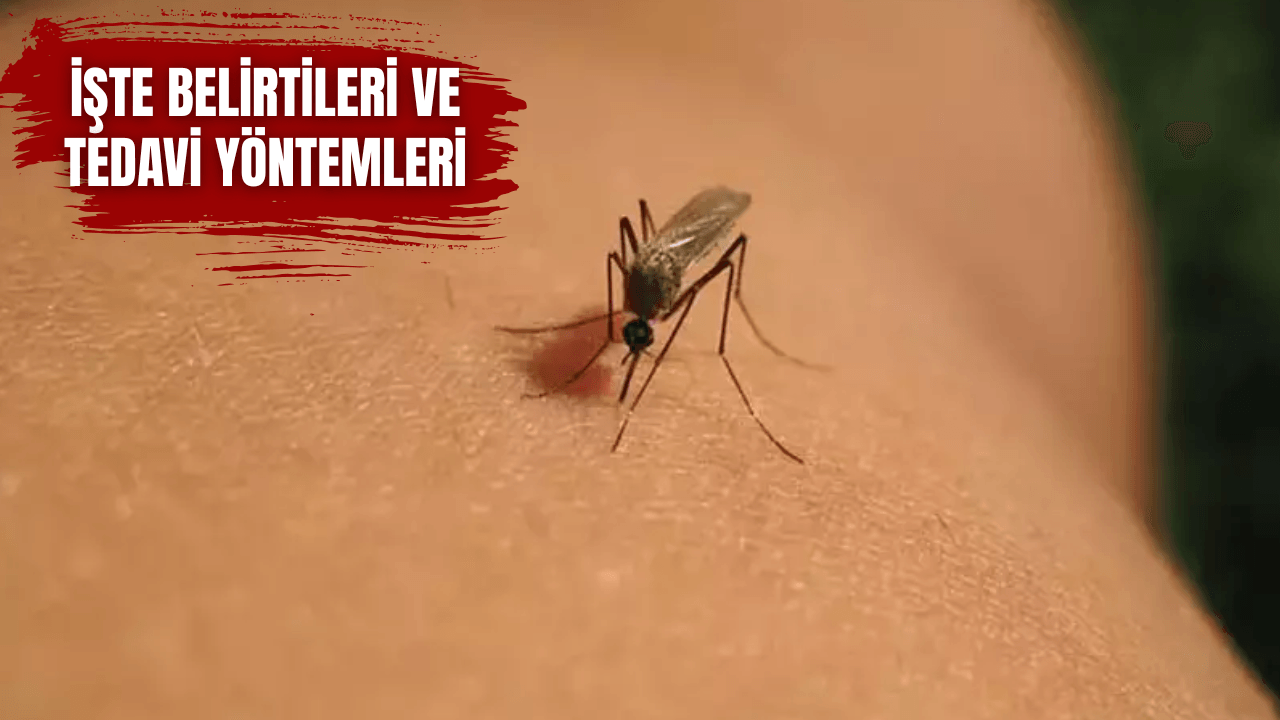 Virus-Alarm in China! 7.000 Fälle
