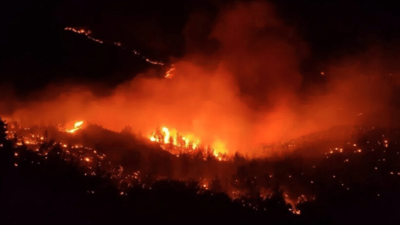 ¡Incendio forestal en Hatay!