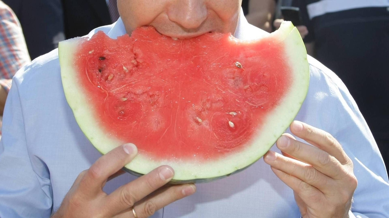 Nutrizionista: "contro il caldo anguria e frutti estivi per integrare naturalmente i sali minerali"