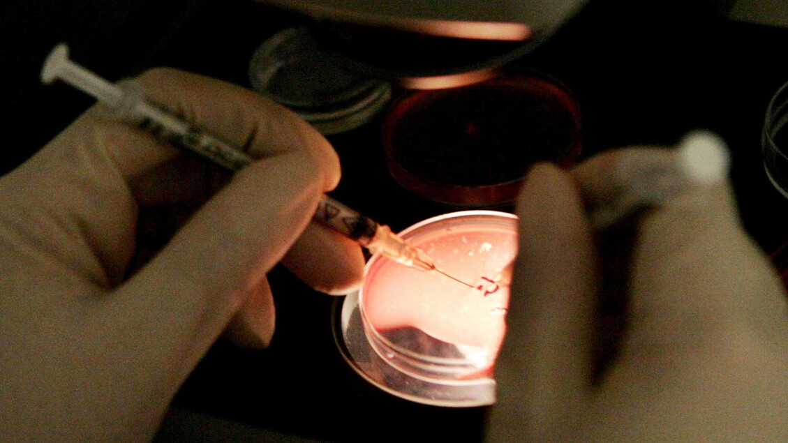 Fecondazione a 3 in Gb, 8 bebè nati senza malattie genetiche