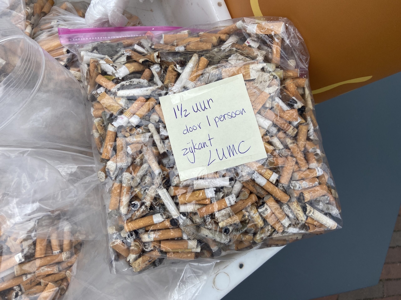 Voluntários recolhem quase um milhão de pontas de cigarro tóxicas