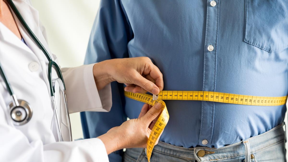 A component of the intestinal microbiota 'decides' how many calories the body absorbs