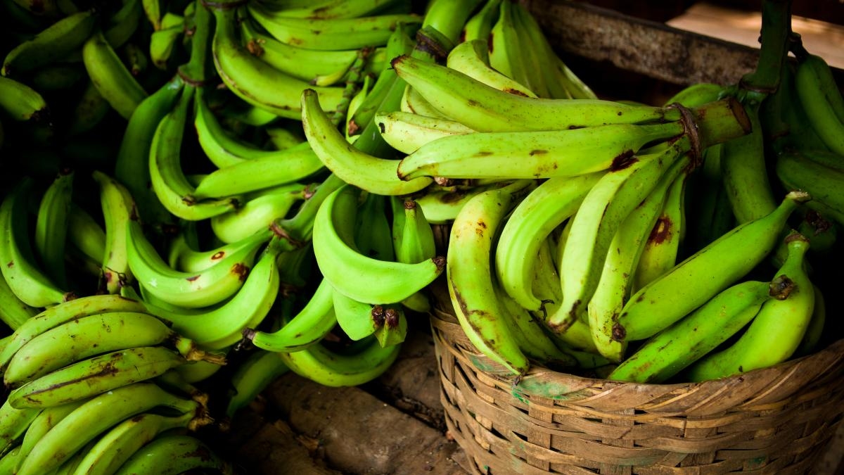 Der vermehrte Verzehr von Bananen und Brokkoli kann zur Senkung von Bluthochdruck beitragen.