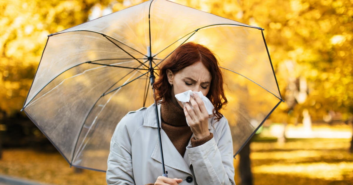 Здоровье. Холод и дождь: могут ли они действительно стать причиной болезней?