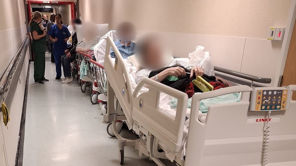 Travma geçiren hastaların ölümlere tanık olması ve NHS hastanelerini savaş alanına benzetmesiyle koridor bakım krizi yaşanıyor