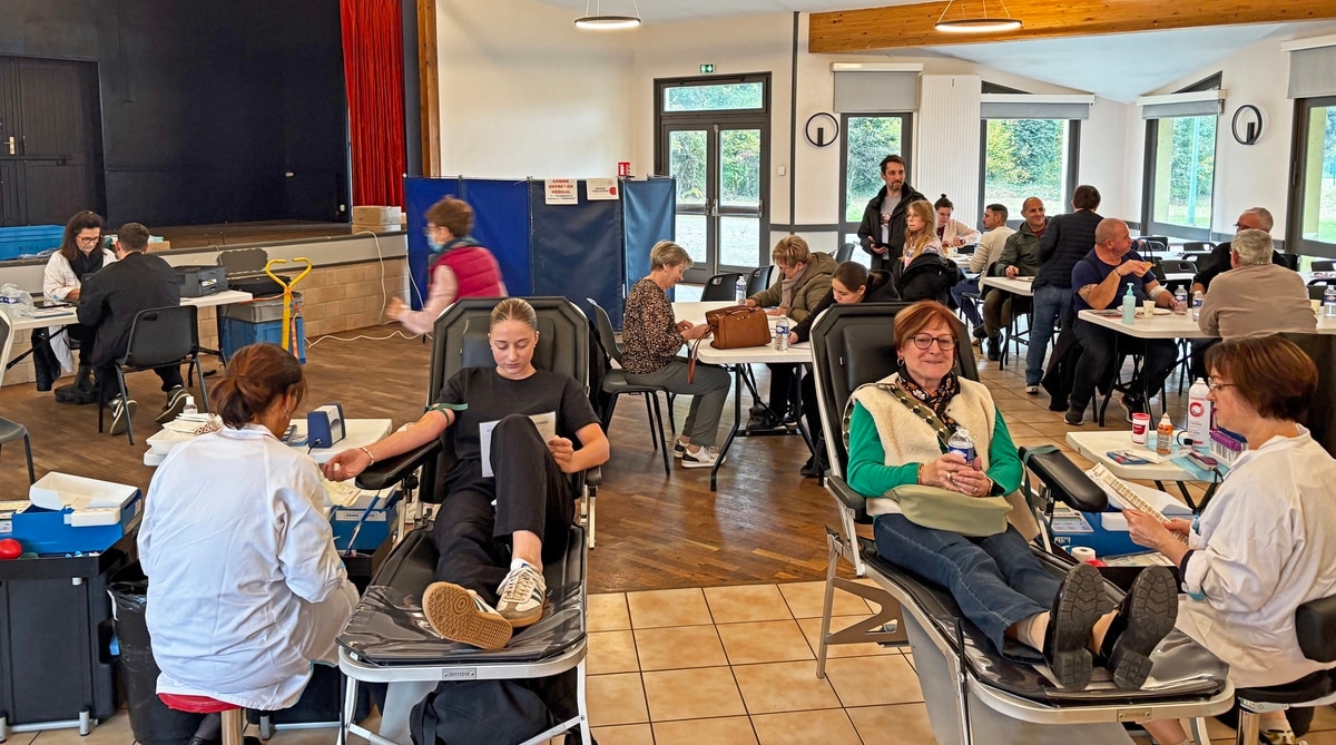 Сдача крови: стабильное участие на конец года