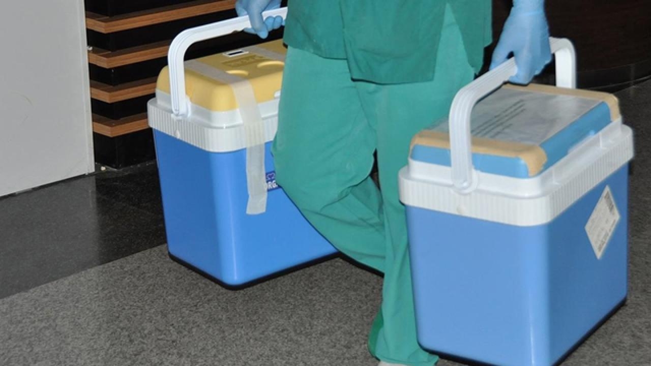 При донорстве органов приоритет при трансплантации будет отдаваться родственникам донора.