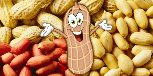 Reasons why eating peanuts is good for your health