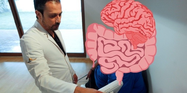 A study links microbiota with attention span