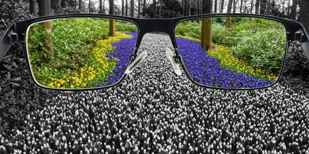 Welche Tests gibt es zur Erkennung von Farbenblindheit?